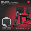������� �������� ���������������� SVENSSON BODY LABS RIGEL PLUS PRO ����� - V-SPORT ��������� ���� ARMSSPORT