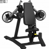 GLT PL25    ,     vasil - V-SPORT   ARMSSPORT