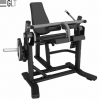 GLT PL34      vasil gym-123  - V-SPORT   ARMSSPORT