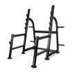 BRONZE GYM BR-1015    - V-SPORT   ARMSSPORT