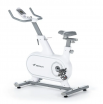 -  MERACH MR-S06 WHITE - V-SPORT   ARMSSPORT