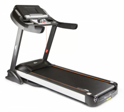 Iron Horse   - V-SPORT   ARMSSPORT