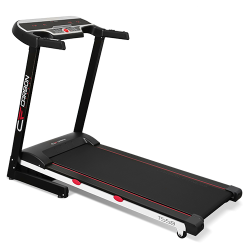 CARBON    - V-SPORT   ARMSSPORT