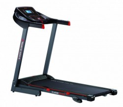 Body Sculpture   - V-SPORT   ARMSSPORT