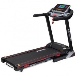VictoryFit   - V-SPORT   ARMSSPORT