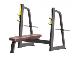     Protrain BPL143     - V-SPORT   ARMSSPORT