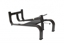 -    Protrain BPL146    vasilgym - V-SPORT   ARMSSPORT