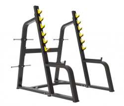      Protrain BPL150     - V-SPORT   ARMSSPORT