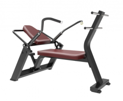   Protrain BPL170    - V-SPORT   ARMSSPORT