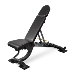 BRONZE GYM BR-1008    - V-SPORT   ARMSSPORT