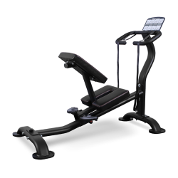 BRONZE GYM BR-1006    - V-SPORT   ARMSSPORT
