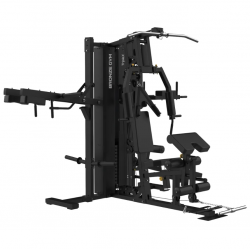  BRONZE GYM EVOLVE TripleX    - V-SPORT   ARMSSPORT