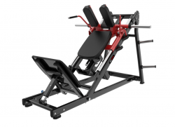  -/     Protrain LFP214 - V-SPORT   ARMSSPORT