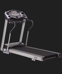 Life Gym   - V-SPORT   ARMSSPORT
