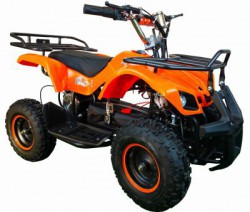    MOWGLI MINI  800W - ,   - V-SPORT   ARMSSPORT