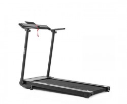 DFC   - V-SPORT   ARMSSPORT