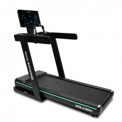   BRONZE GYM WALKWAY    - V-SPORT   ARMSSPORT