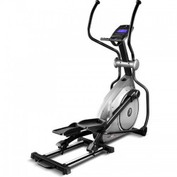 AMMITY   - V-SPORT   ARMSSPORT
