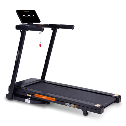 SVENSSON   - V-SPORT   ARMSSPORT
