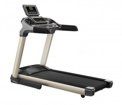Fitex   - V-SPORT   ARMSSPORT