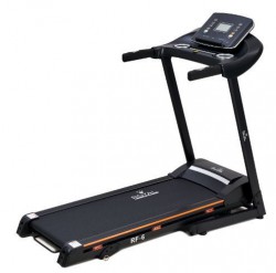 Royal Fitness   - V-SPORT   ARMSSPORT