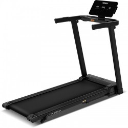 Family   - V-SPORT   ARMSSPORT