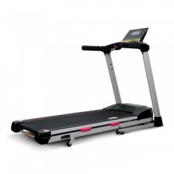 Protrain   - V-SPORT   ARMSSPORT